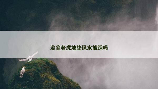 浴室老虎地墊風水能踩嗎