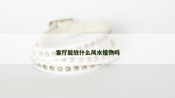 客廳能放什么風水植物嗎