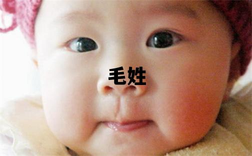 毛姓有智慧才氣的男孩名字