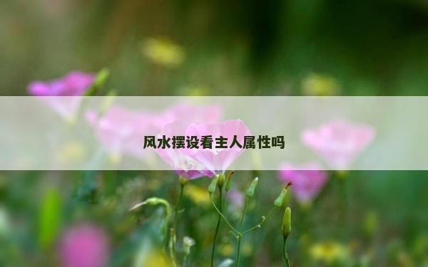 風(fēng)水?dāng)[設(shè)看主人屬性嗎 風(fēng)水?dāng)[設(shè)看主人屬性嗎