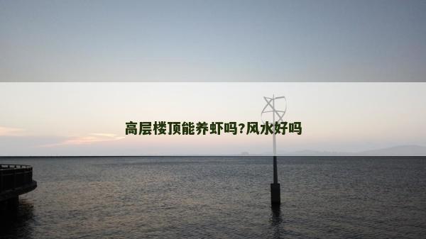 高層樓頂能養(yǎng)蝦嗎?風水好嗎