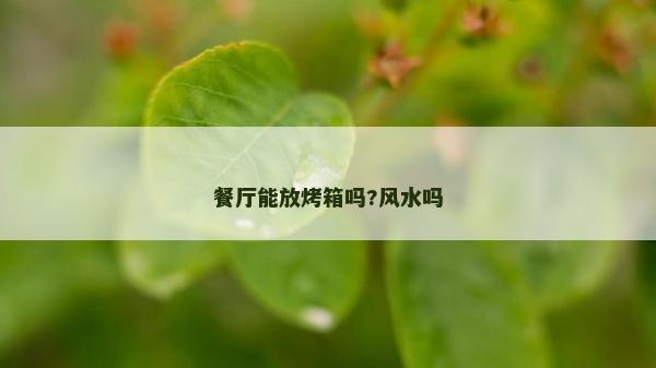餐廳能放烤箱嗎?風水嗎 餐廳能放烤箱嗎?風水嗎