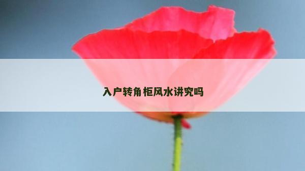 入戶轉角柜風水講究嗎