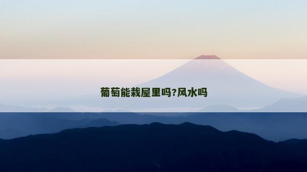 葡萄能栽屋里嗎?風(fēng)水嗎
