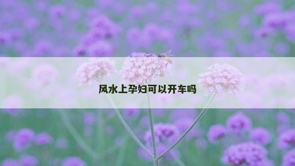 風水上孕婦可以開車嗎