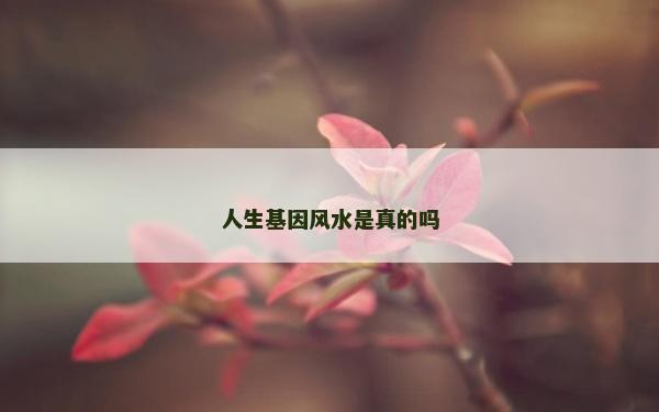 人生基因風水是真的嗎