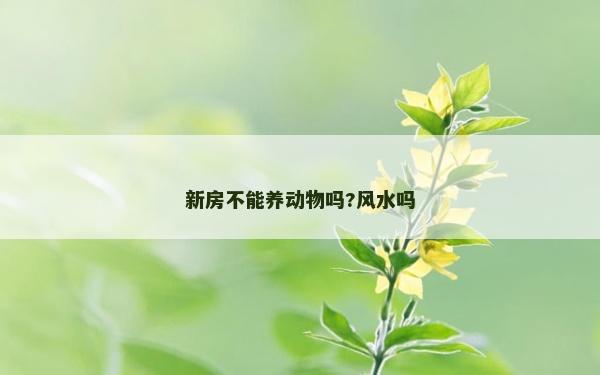 新房不能養動物嗎?風水嗎 新房不能養動物嗎?風水嗎