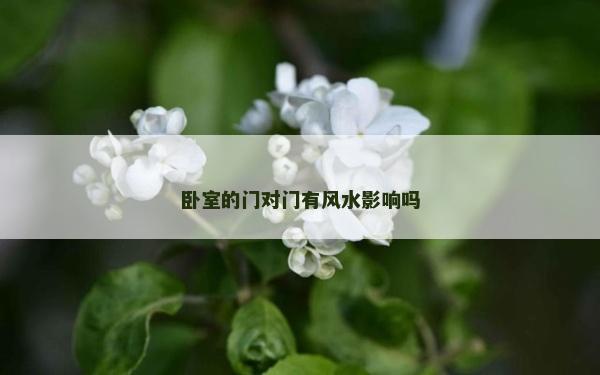 臥室的門對門有風水影響嗎 臥室的門對門有風水影響嗎
