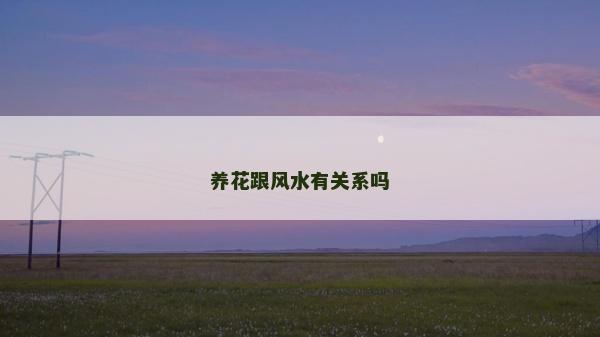 養(yǎng)花跟風水有關系嗎
