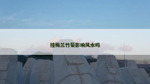 掛梅蘭竹菊影響風(fēng)水嗎
