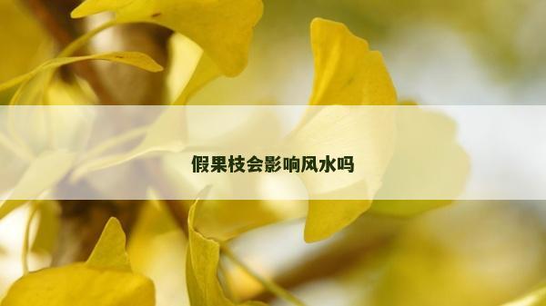 假果枝會影響風水嗎