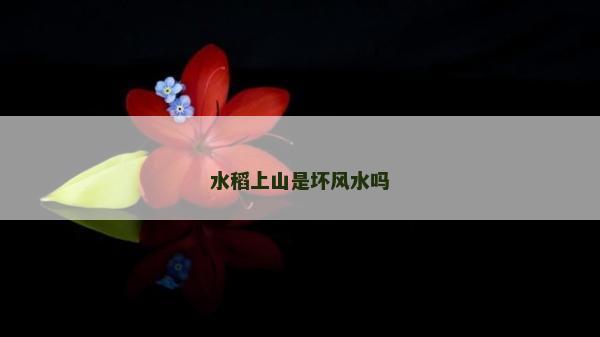 水稻上山是壞風水嗎 水稻上山是壞風水嗎
