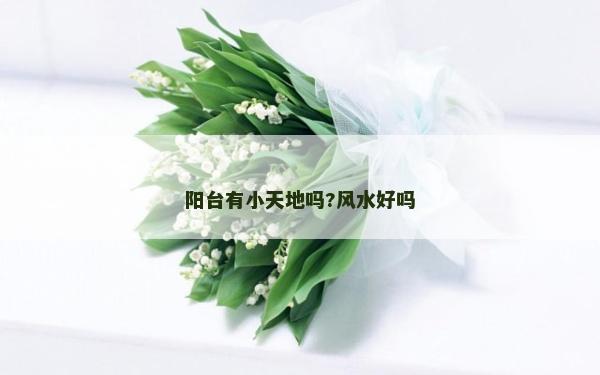 陽臺有小天地嗎?風水好嗎