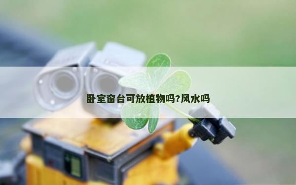 臥室窗臺可放植物嗎?風水嗎 臥室窗臺可放植物嗎?風水嗎