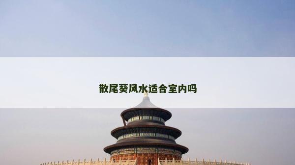 散尾葵風水適合室內嗎
