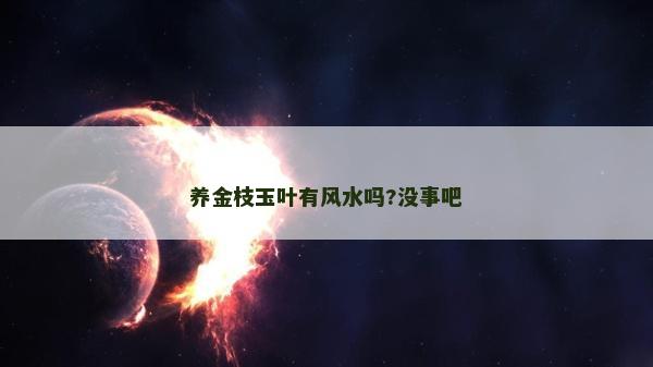 養(yǎng)金枝玉葉有風(fēng)水嗎?沒事吧