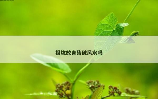 祖墳放青磚破風水嗎