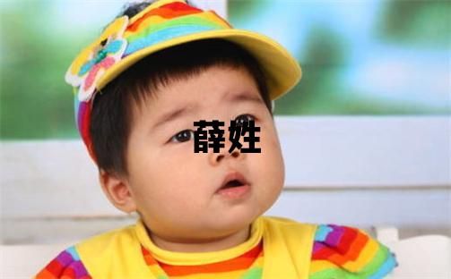 薛姓有涵養的男寶寶名字