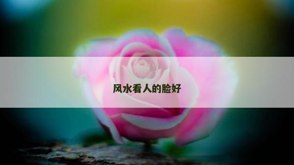 風(fēng)水看人的臉好