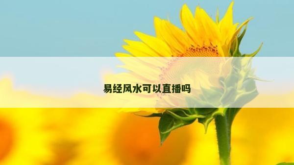易經風水可以直播嗎