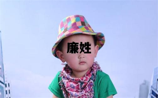 廉姓大氣文雅的男孩名字,取什么名字好