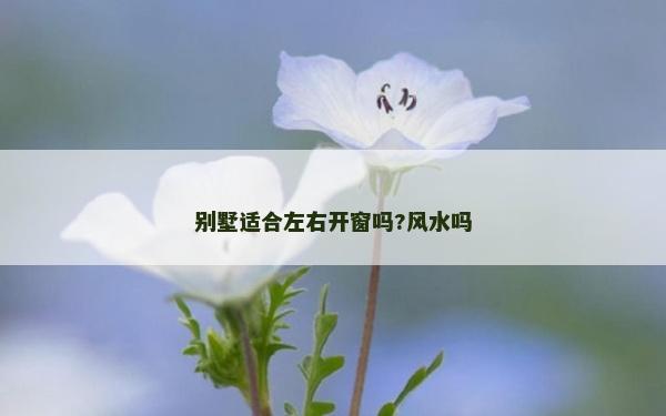 別墅適合左右開窗嗎?風(fēng)水嗎