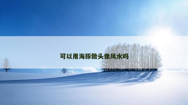可以用海豚做頭像風水嗎