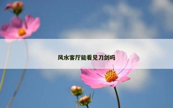 風水客廳能看見刀劍嗎