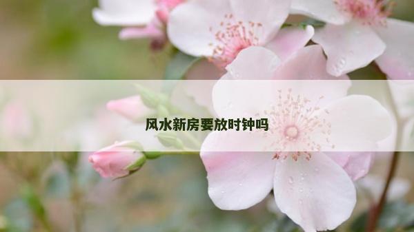 風水新房要放時鐘嗎