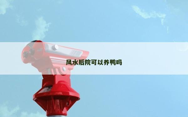 風水后院可以養鴨嗎