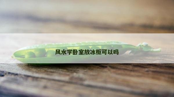 風水學臥室放冰柜可以嗎 風水學臥室放冰柜可以嗎