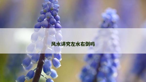 風水講究左水右倒嗎 風水講究左水右倒嗎