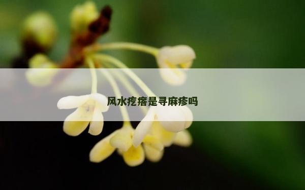 風(fēng)水疙瘩是尋麻疹嗎