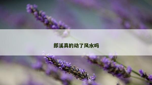 郎溪真的動了風水嗎