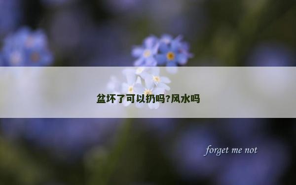 盆壞了可以扔嗎?風水嗎 盆壞了可以扔嗎?風水嗎