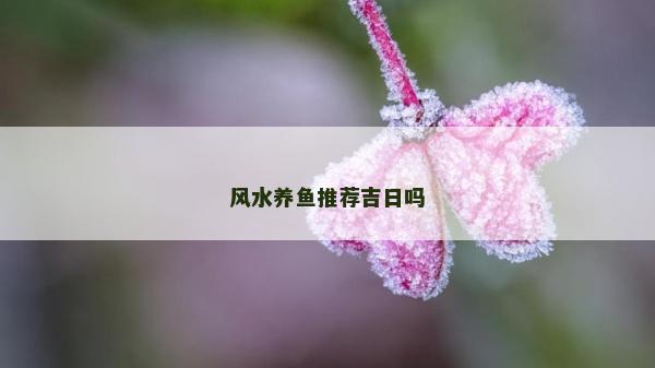 風水養魚推薦吉日嗎