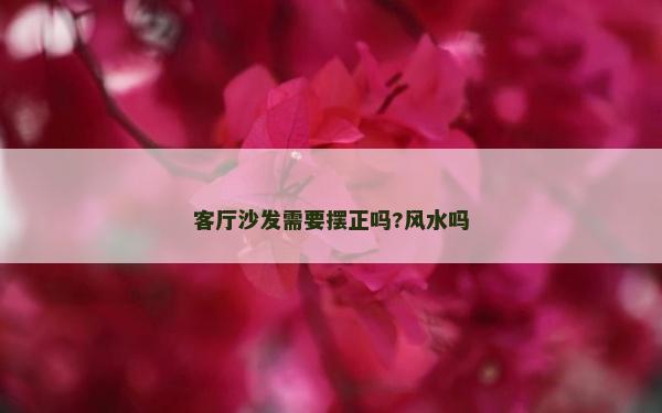 客廳沙發需要擺正嗎?風水嗎 客廳沙發需要擺正嗎?風水嗎