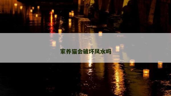 家養貓會破壞風水嗎 家養貓會破壞風水嗎