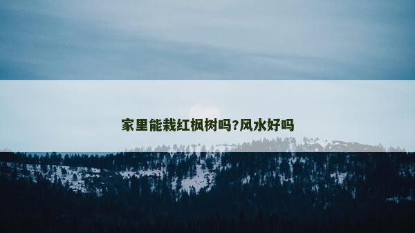 家里能栽紅楓樹嗎?風水好嗎