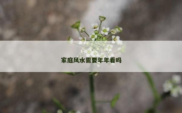 家庭風水需要年年看嗎