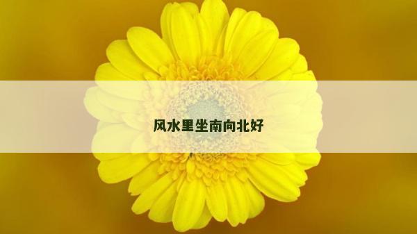 風水里坐南向北好 風水里坐南向北好