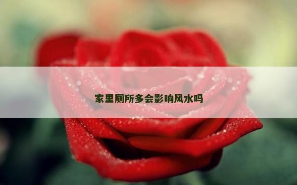 家里廁所多會影響風(fēng)水嗎