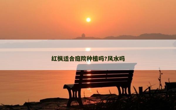 紅楓適合庭院種植嗎?風(fēng)水嗎 紅楓適合庭院種植嗎?風(fēng)水嗎
