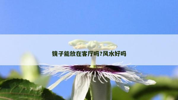 鏡子能放在客廳嗎?風(fēng)水好嗎