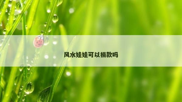 風(fēng)水娃娃可以捐款嗎