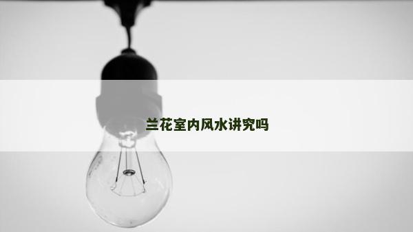 蘭花室內(nèi)風(fēng)水講究嗎