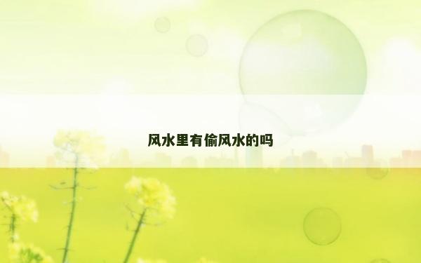 風水里有偷風水的嗎