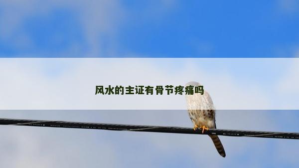 風(fēng)水的主證有骨節(jié)疼痛嗎