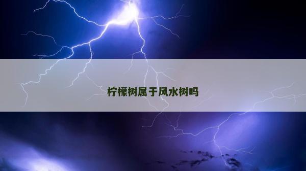 檸檬樹屬于風水樹嗎