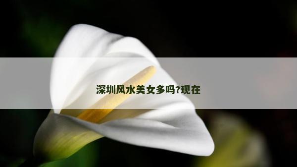 深圳風水美女多嗎?現(xiàn)在